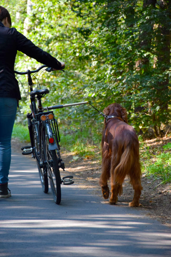 dobar Fahrradleine Walky Dog Plus